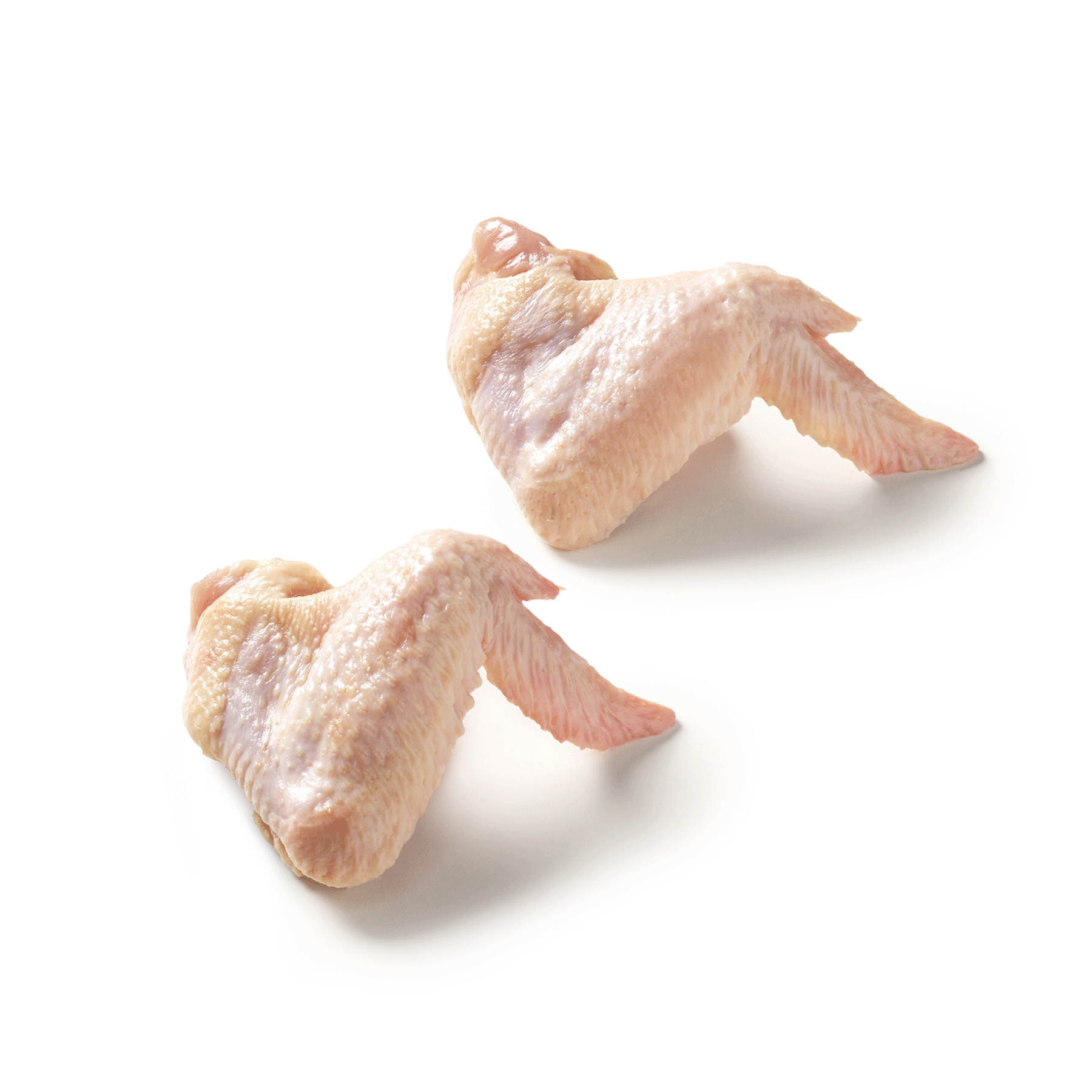 Aile 3 phalanges de poule